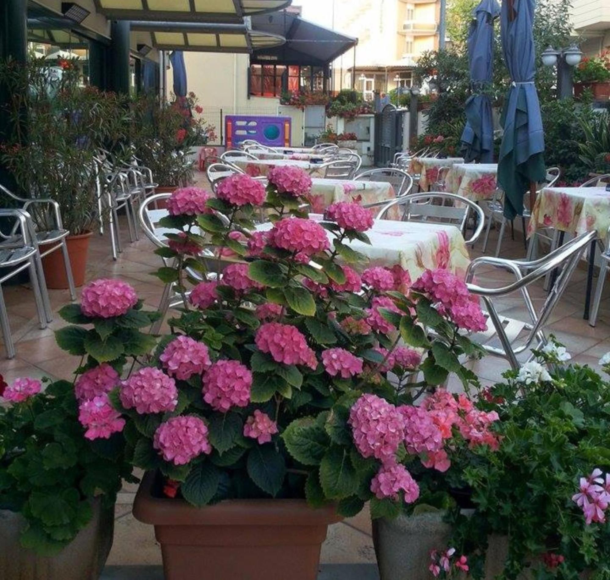 Hotel Caruso Rímini Exterior foto